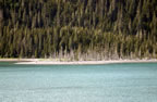 IMG_1809enh.jpg (128kb)