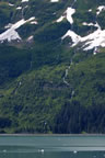 IMG_1843enh.jpg (95kb)
